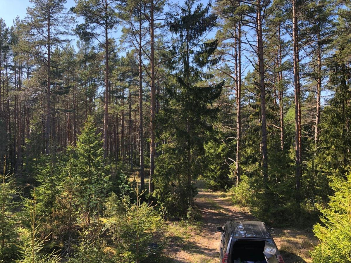 Willa Veela Metsamaja Noarootsi Zewnętrze zdjęcie